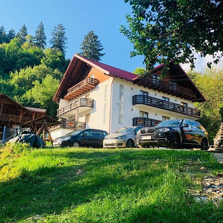 Pensiunea Pietrosul Борша Экстерьер фото